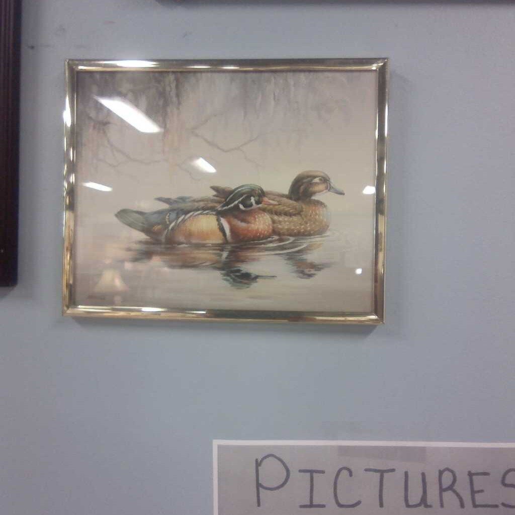 DUCK PICTURES 2 FOR $20 OR $12.00 A PIECE