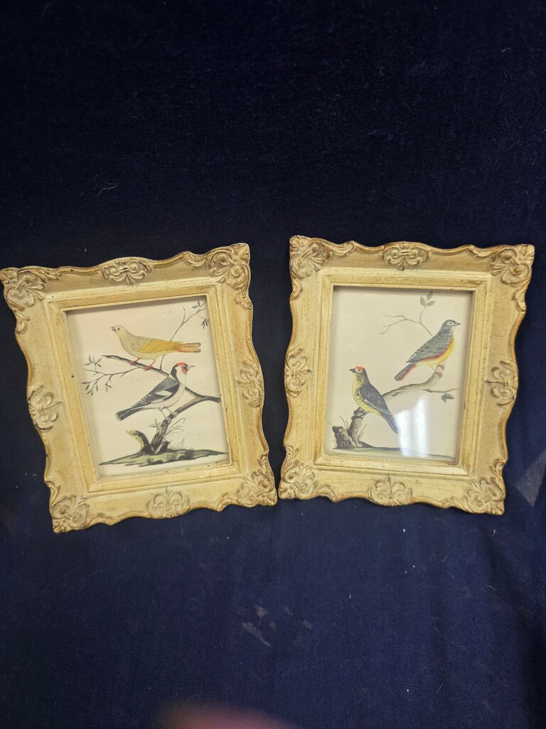 Vintage Bird Art Frames