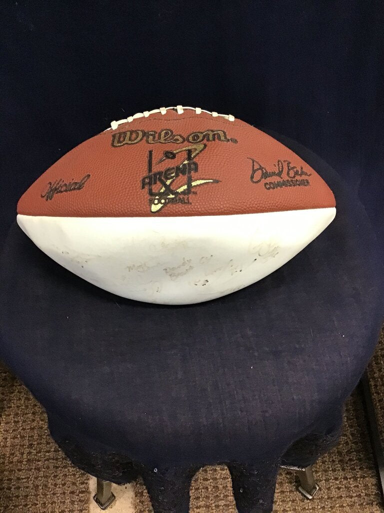 Wilson Arena Football