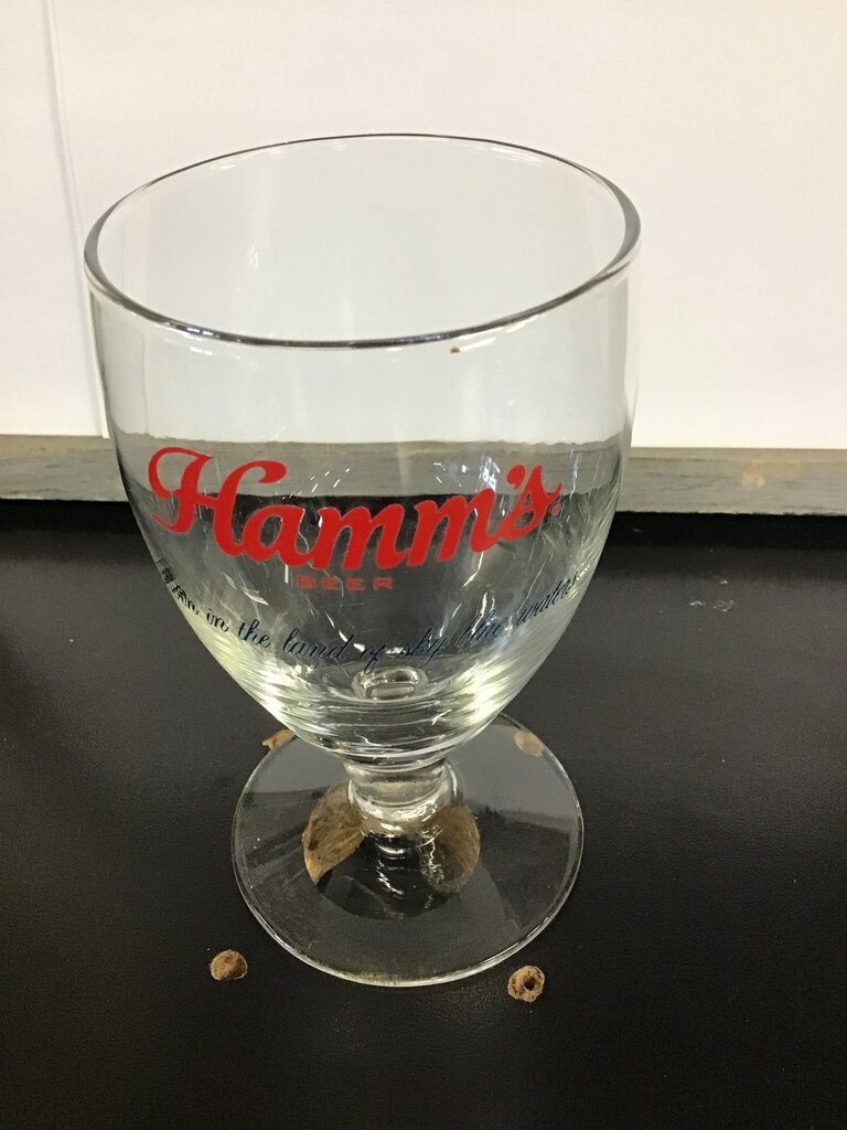 Hamms Beer Glass