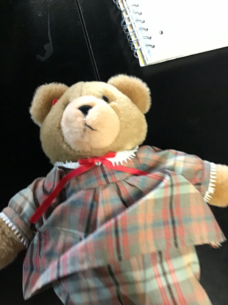 Plush Bear in Dress