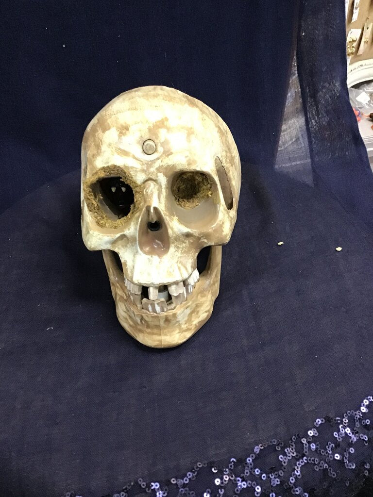 Human Skull Decor
