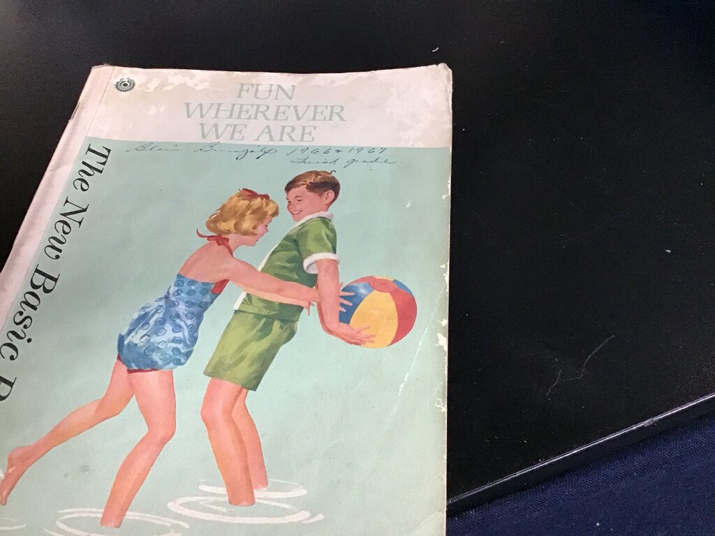 The New Basic Book: Fun Wherever We Are