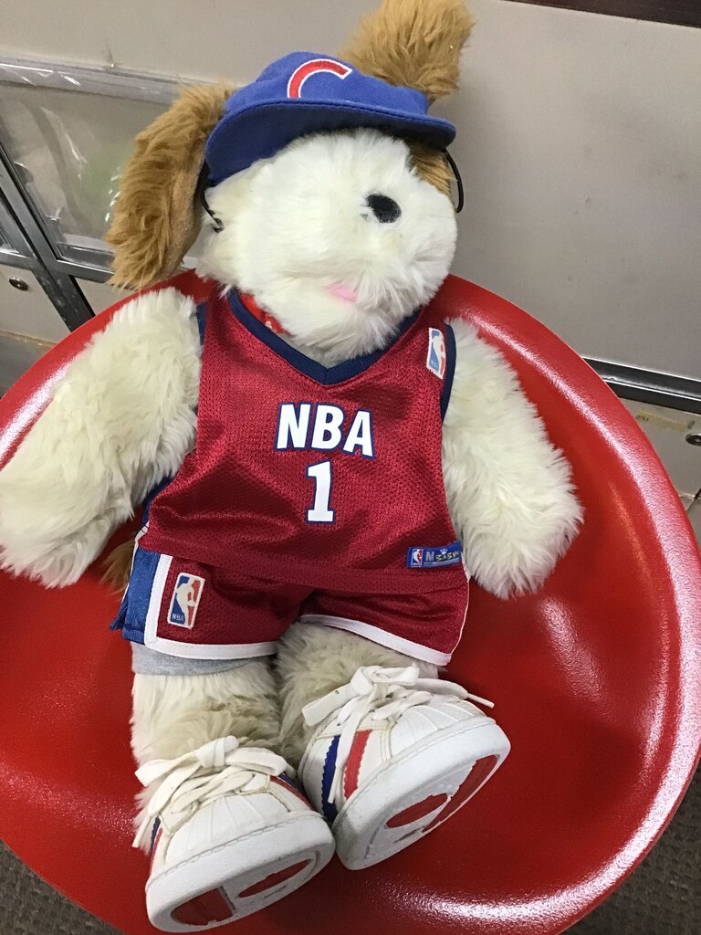 NBA Plush Dog Toy