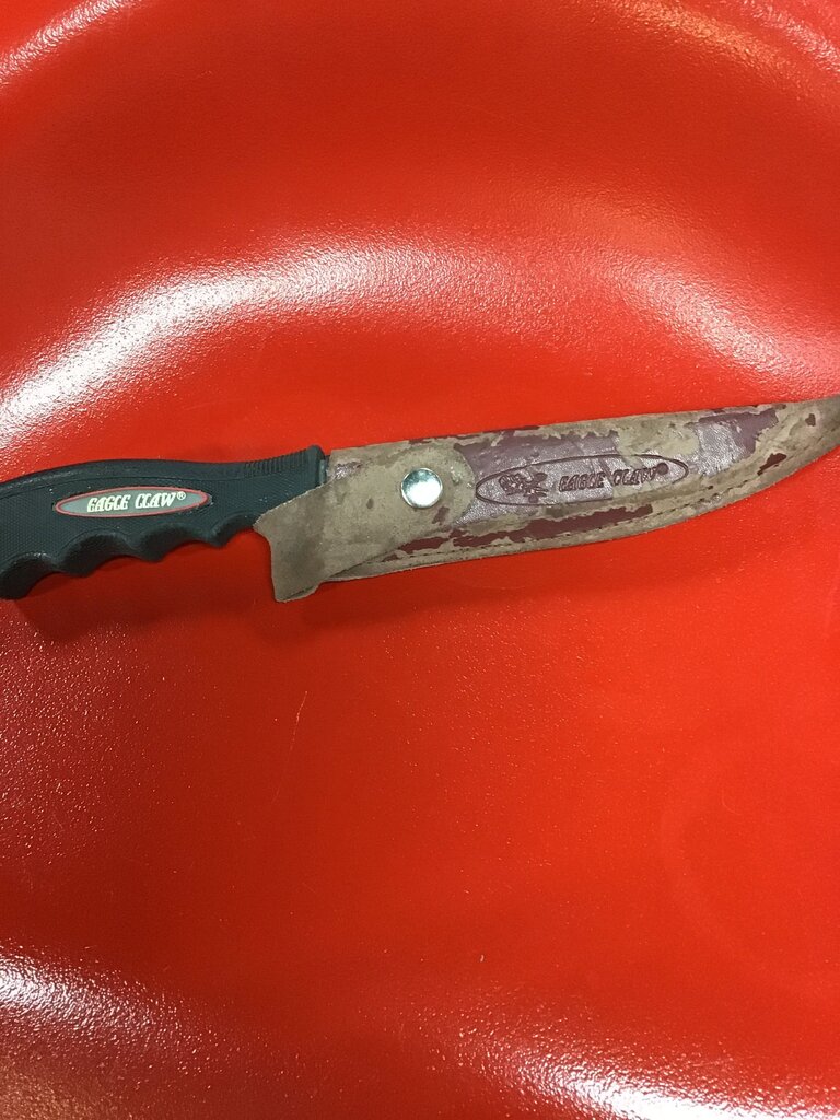 Eagle Claw Folding Knife