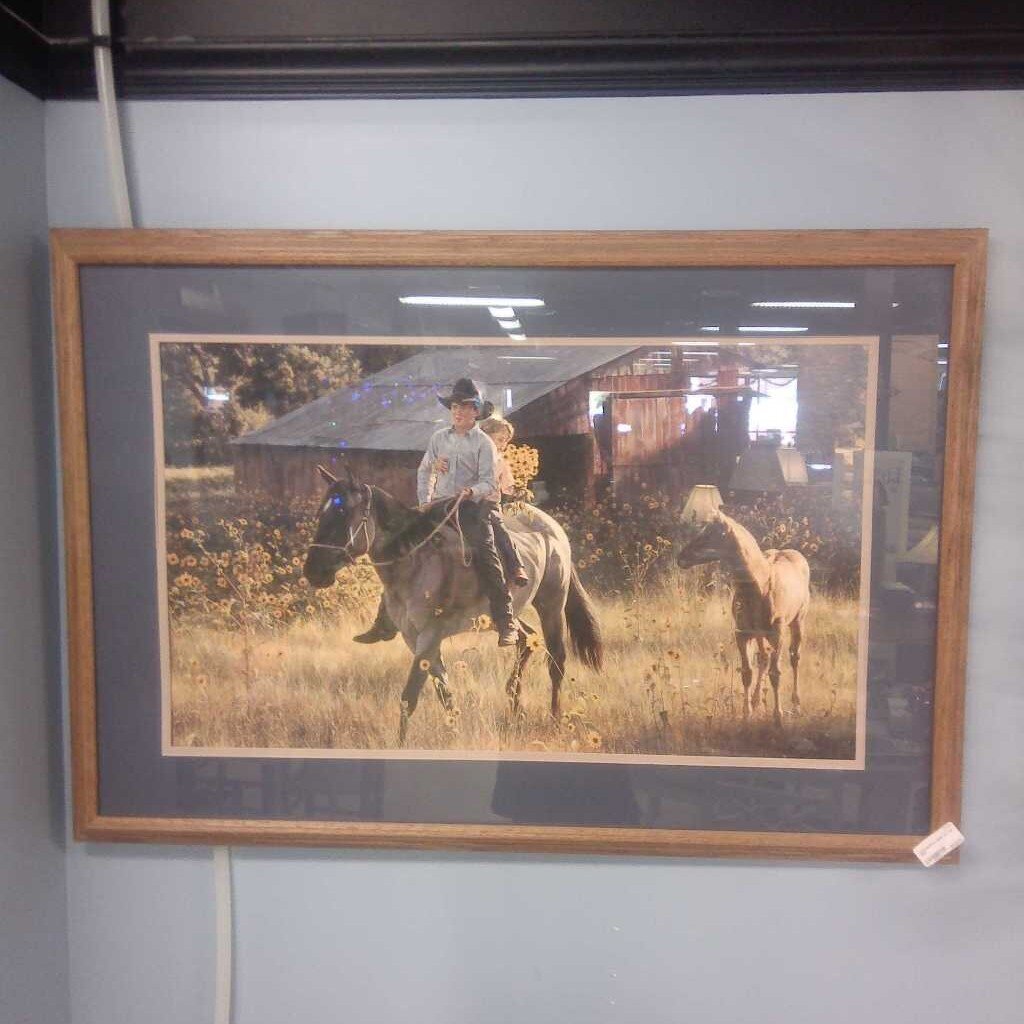 Framed Landscape Artwork