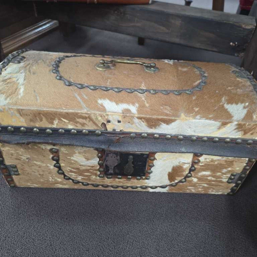 RARE DOMED ANTIQUE ANIMAL HIDE COVERED ORIGINAL LATCHES NO KEY