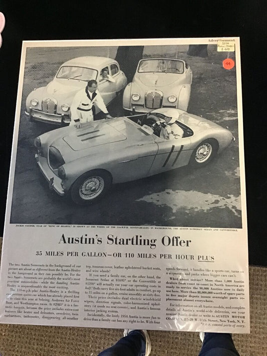 Austin's Startling Offer Advertisement