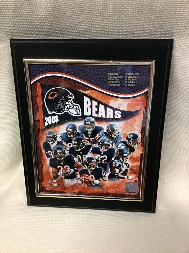 2008 Chicago Bears Framed Team Framed print