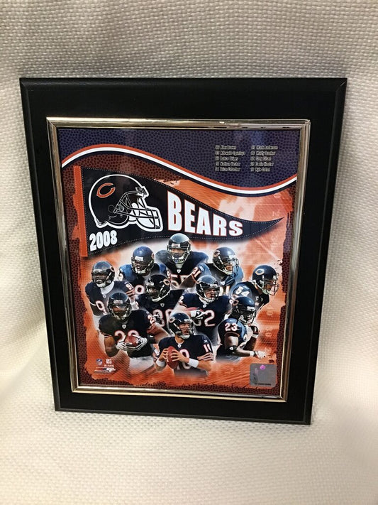 2008 Chicago Bears Framed Team Framed print