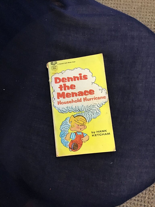 Dennis the Menace Household Hurricane Book