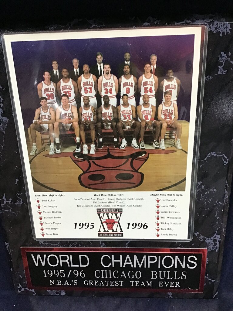 1995/96 Chicago Bulls Team Plaque
