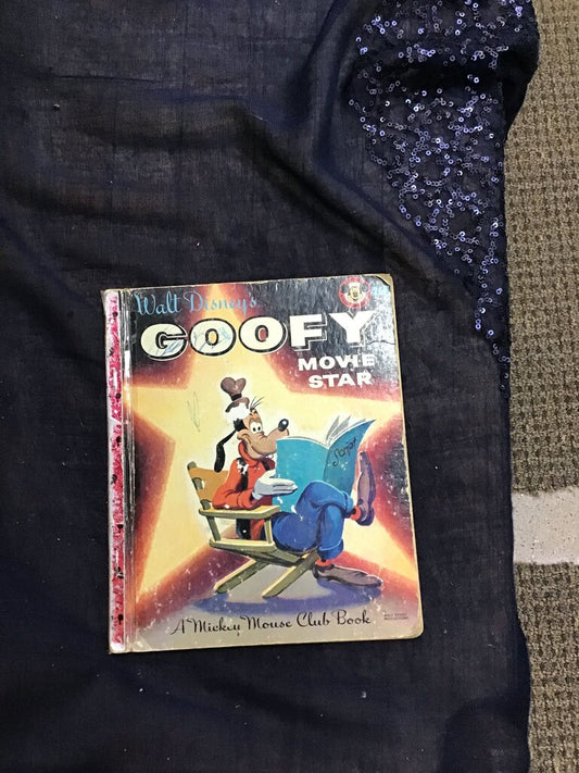 Walt Disney's Goofy Movie Star Book