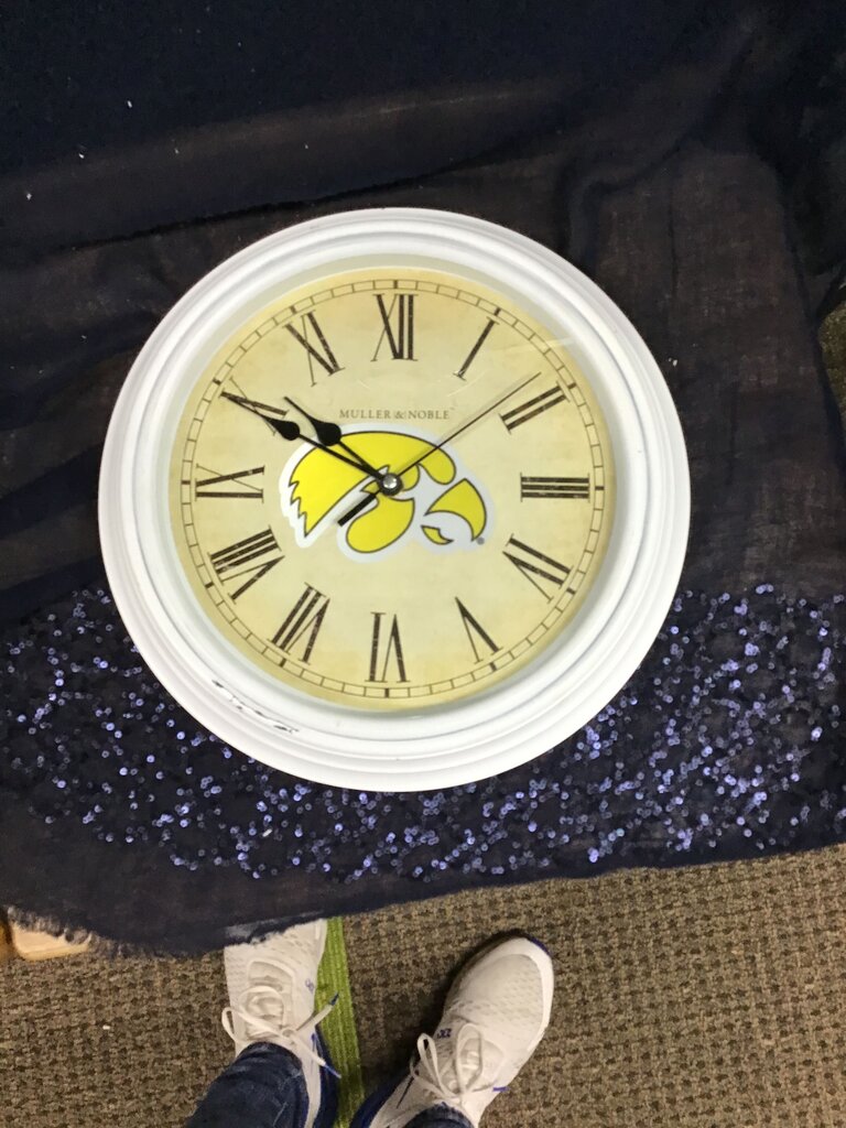 Muller & Noble Hawkeyes Wall Clock